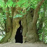 Cuch Cánoves